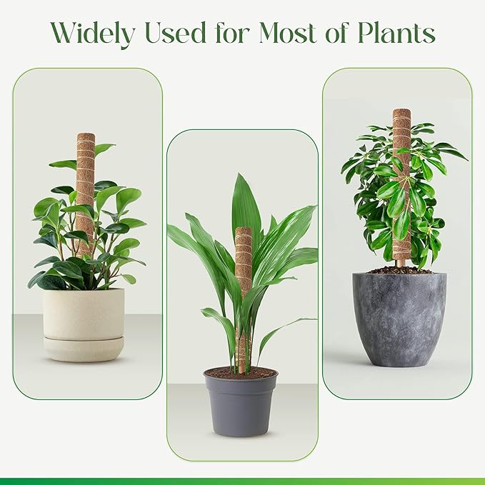 Pisol Moss Pole for Plants Monstera, Extendable Plant Sticks Support, Plant Stakes for Indoor Potted Plant, 15.7'' Coco Coir Pole Plant Trellis for Sphagnum, Pothos and Other Climbing Plants(4 PCS)