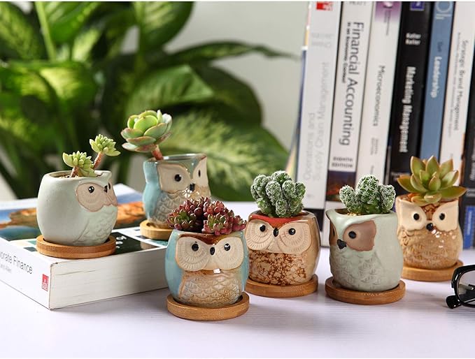 T4U 2.5 Inch Owl Ceramic Succulent Planter Pots with Bamboo Tray Set of 6, Flowing Glaze Porcelain Handicraft Plant Holder Container Gift for Mom Sister Aunt Best for Home Office Garden Decoration