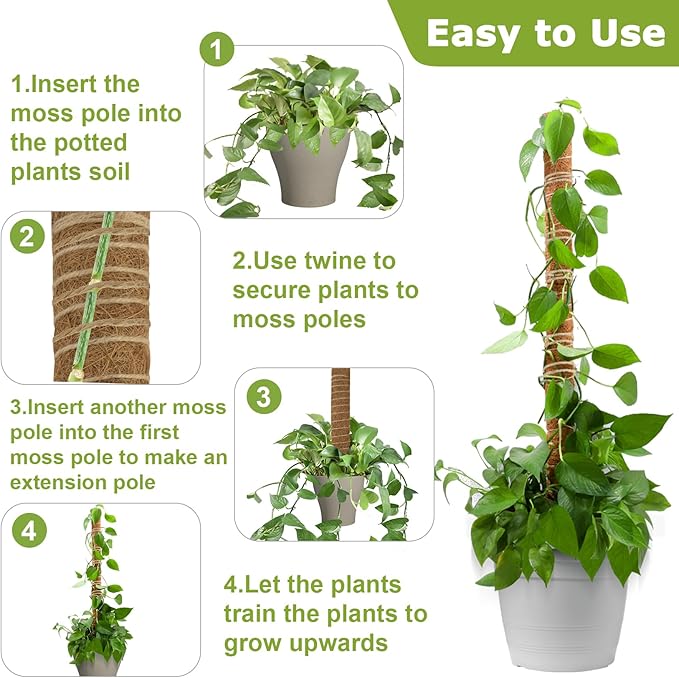 Sukh Moss Totem Pole - Moss Pole for Plants Monstera 2 Pcs 15.7 Inch Coco Coir Pole for Climbing Indoor Potted Plants Training Grow Upwards with Jute String Moss Stick for Plant Support Extension