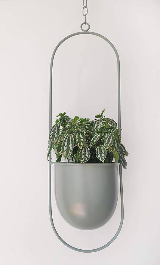 RISEON Boho Green Metal Plant Hanger,Metal Wall and Ceiling Hanging Planter, Modern Planter, Mid Century Flower Pot Plant Holder, Minimalist Planter for Indoor Outdoor Home Decor