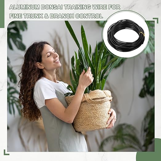 Bonsai Training Wire, 2.5mm x 32.8 ft Anodized Aluminum Floral Plant Training Wire Bendable Metal Stems Accessories for Gardening Branch Fixing Crafts (Black)