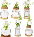 6PCS Plant Propagation Station, Desktop Plant Propagation Jars with Wood Lid and Stand, Glass Propagation Vases for Plant Growing, Hydroponic Home, Office Decor (6 Styles)