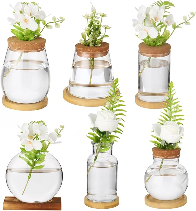 6PCS Plant Propagation Station, Desktop Plant Propagation Jars with Wood Lid and Stand, Glass Propagation Vases for Plant Growing, Hydroponic Home, Office Decor (6 Styles)