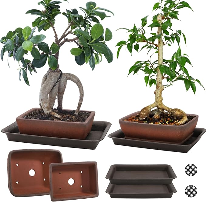 2 Pack Ceramic Bonsai Pots with Drainage Tray, 6" and 7" Unglazed Rectangle Bonsai Tree Planters, Bonsai Training Pots, Succulent Cactus Planter with Drainage Hole for Outdoor Indoor, Brown
