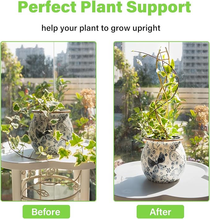 Yohsnor 3PCS DNA Plant Trellis Indoor and Outdoor - Lightweight Metal Trellis for Potted Plants, Hoya & Pothos Climbing Support, Artistic Geometric Design, Durable & Easy Installation