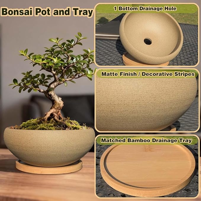 MUZHI 2 Pack Round Unglazed Ceramic Bonsai Pot with Bamboo Tray 8"+6.5", Large Rough Pottery Succulent Planter with Drainage Hole
