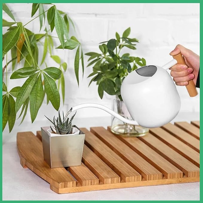 Indoor Watering Can with Long Spout, 40oz Capacity, White Metal with Wood Handle,Plant Mister Spray Bottle (White-W2)