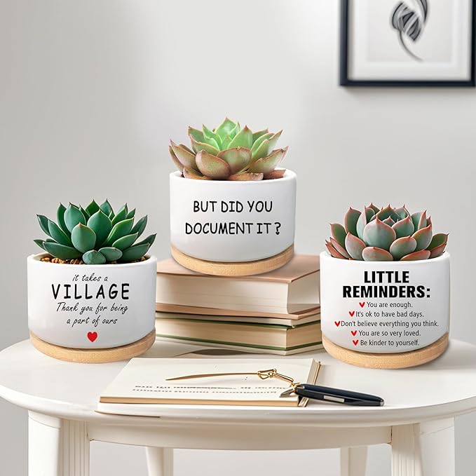 Office Desk Shelf Decor, Succulent Plant Pot, Ceramic Flower Cactus Planter Office Accessories Gifts for Coworker Employee Colleague Women Men Friend, But Did You Document It (Plants Not Included)