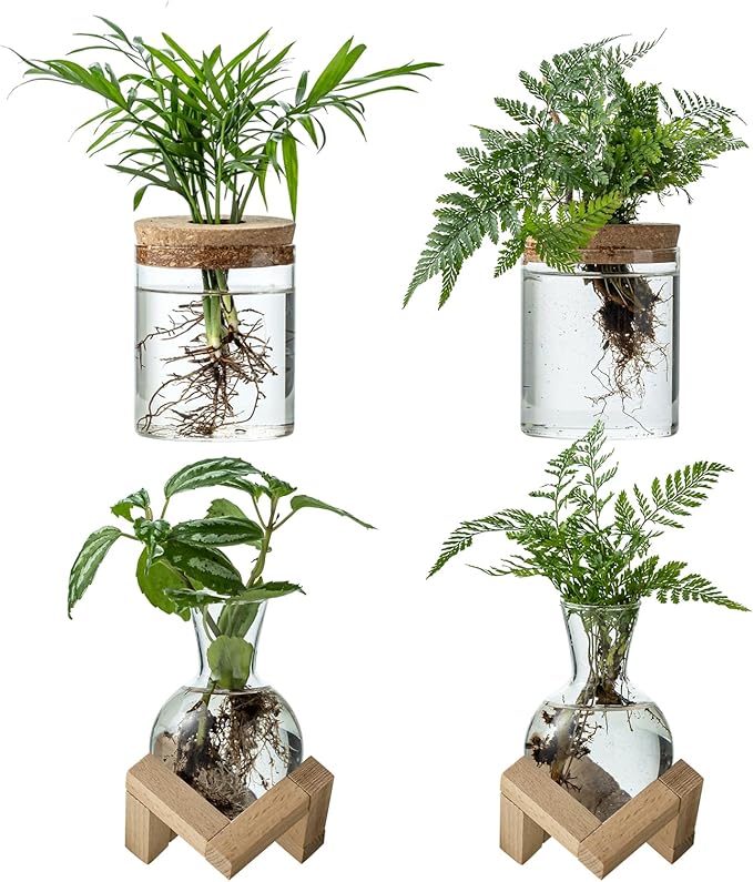 Plant Propagation Station, 2 Style Glass Planter Terrarium Set for Hydroponic Plants | Home Office Tabletop Decor, Gardening Gifts for Women, Mom, Plant Lovers (4)