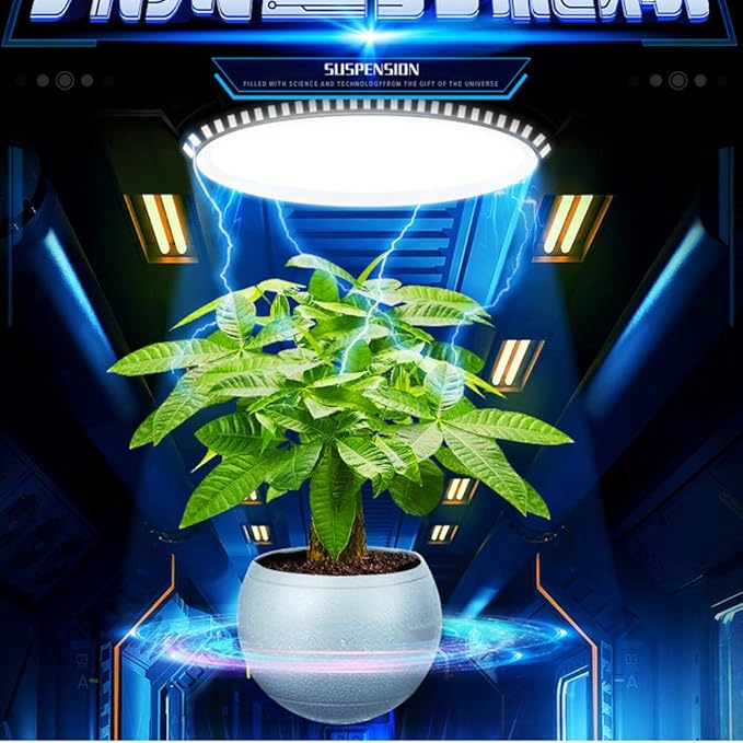Floating Flower Pot - Magnetic Suspension Levitating Air Flower Pots - Creative Design Levitation Bonsai - Home Office Decorations - Fun Gift