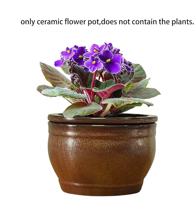 African Violet Pots Self Watering Round Ceramic Violet Pot (Copper, 6 inch)