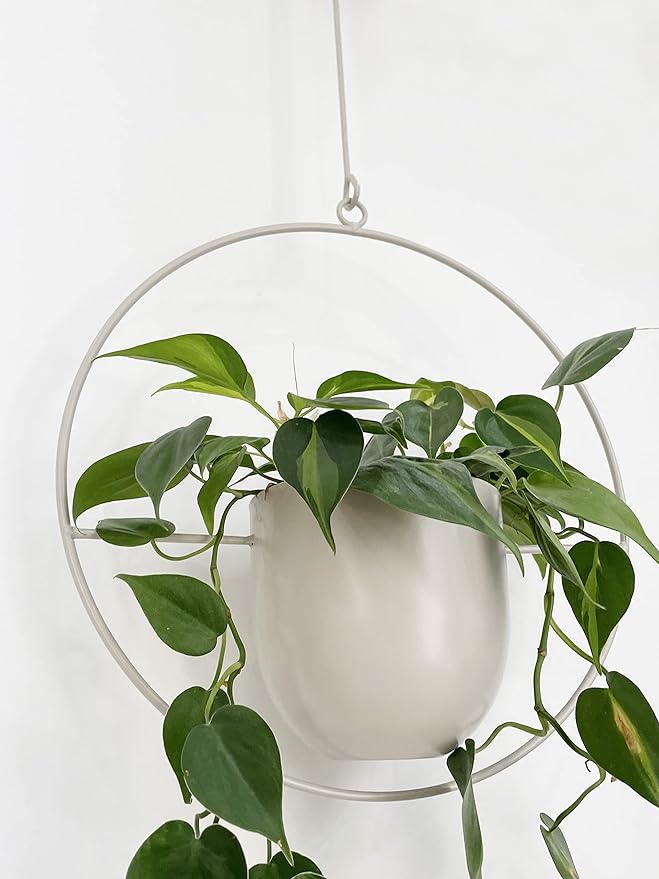 RISEON Boho White Metal Plant Hanger,Metal Wall and Ceiling Hanging Planter, Modern Planter, Mid Century Flower Pot Plant Holder, Minimalist Planter for Indoor Outdoor Home Decor…