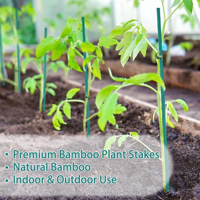 HAINANSTRY Bamboo Plant Stakes 50PCS, 18Inch Natural Bamboo Garden Stakes, Supports Indoor & Outdoor Plants, Straight Style, Green