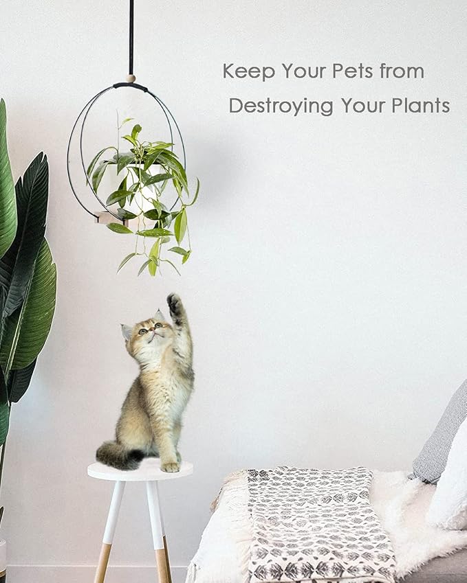 Plant Hangers Indoor with Wood Base -2 Pack Boho Macrame Hanging Plant Holder for Indoor Plants Hanging Planter for Wall/Window/Room Decor Black (Pot & Plant Not Included)