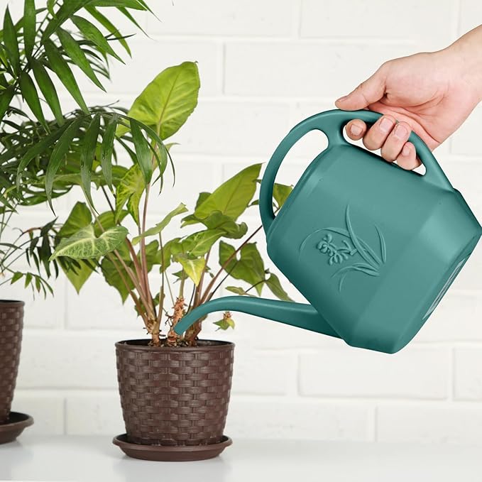 Watering Can - for Home Plant Garden - 1/2 Gallon - Emerald Green