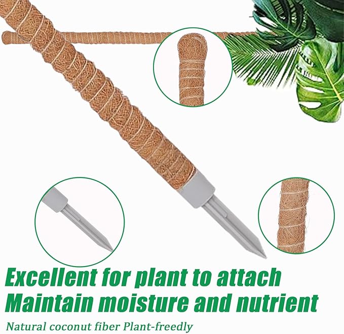 3-Pack Tall Moss Poles (50 Inch) - Coco Coir Plant Support Sticks for Potted Plants (Monstera, Pothos, Philodendron)