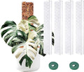 4 Pack Stackable Plastic Moss Poles for Indoor Climbing Plants -Plant Support Stakes for Monstera, Pothos & Philodendron - Indoor Garden Poles for Vertical Growth & Moss Wrapping