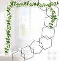 20pcs Chain Trellis for Climbing Plants Indoor, Metal Hexagonal Wall Plant Support Accessories for Vine Growth, Ivy, Pothos Live Plant Climber