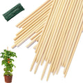 46 PCS Bamboo Plant Stakes 18 Inch, Wood Plant Support for Gardening for Potted Floral Plant, Indoor Wooden Sign Posting Garden Stick, Crafts Sticks with 46 PCS Wires(4")