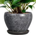 Ceramicfor Ceramic Planter - 6 Inch Plant Pot with Drainage Hole and Saucer, Succulent Pot Glaze Round Flower Pot for Indoor Outdoor Plants, Gray