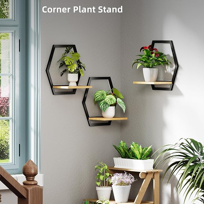 3 Pack Solid Wood & Heavy Duty Metal Wall Plant Stands,9 inch Natural Wood Shelf, Boho Arch Hanging Planter for Indoor 25 LB Load for Plants Black