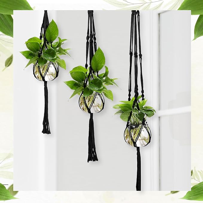 Colingmill 6 Pcs Plastic Plant Propagation with Boho Macrame Hanger Wall Plant Propagation Station Hanging Holder Include Hooks Kit for Indoor Home Garden Office Decor 3 Size (Black)