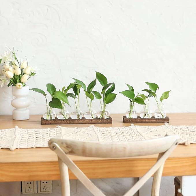 Plant Propagation Station, Plants Terrarium with Wooden Stand Bulb Glass Vase Planter Gift for Plant Lovers Home Office Decor