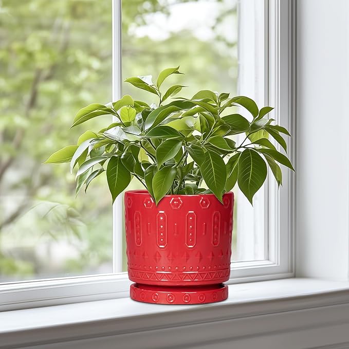 Eightpot 6 Inch Plant Pot, Ceramic Flower Pots for Indoor Outdoor Plants, Round Pots for Plants with Drainage Hole and Tray, Boho Decorative Planter, Kitchen Decor, Gardening Gifts for Women, Red