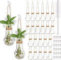 Baderke 24 Pack Hanging Propagation Station 3.9 Inch Plastic Plant Vases with Hooks & Cleaning Brush Clear Window Jars for Plant Clippings, Home Office Decor, Gardening Gifts for Women