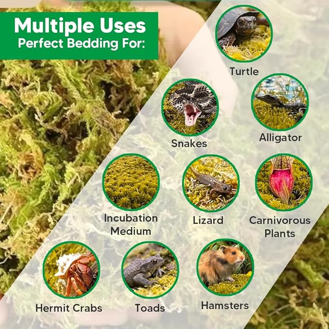 Natural Long Fiber Sphagnum Moss 1196QT for Orchid Potting Mix, and Moss Pole for Plants Indoor. Ideal for Propagating Plants, Maintaining Humidity for Reptiles, Isopods in Paludarium (22 lb)