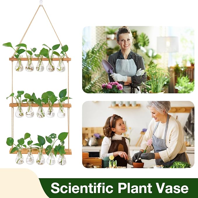 XXXFLOWER Wall Hanging Propagation Station with Wooden Stand 5 Bulb Vase 3 Tiers Planters Wall Terrarium for Home Office Plant Hanger Flower Vases Wall Decor