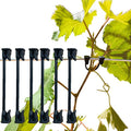 Plastic Vine Clip Garden Plant Support Clip Plant Tomato Grape Raspberry Kiwi Vine Clip Suitable for 9#-12# lines