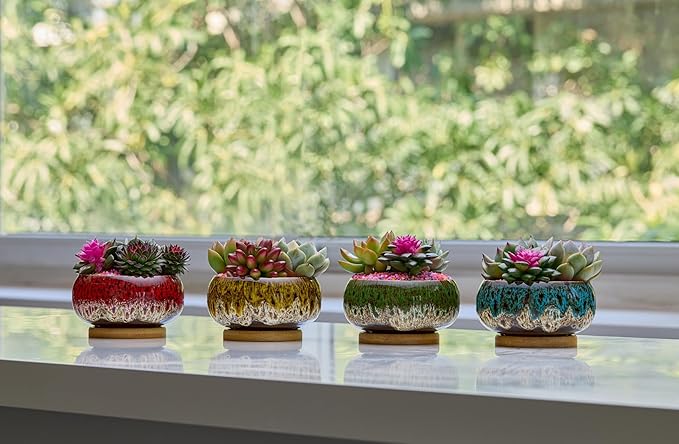 Cute Ceramic Succulent Garden Pots, Planter with Drainage and Attached Saucer, Set of 5 -Plants Not Included (Round+White Border)