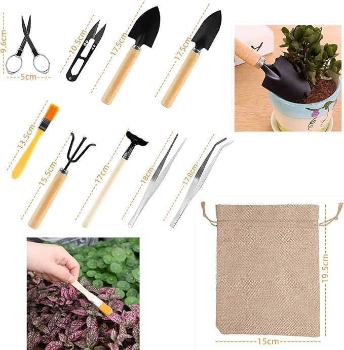 10 Piece Set of Garden Potted Tools Mini Garden Tool Set for Miniature Succulent Bonsai Cactus Planting Transplant Gardening Hand Tools