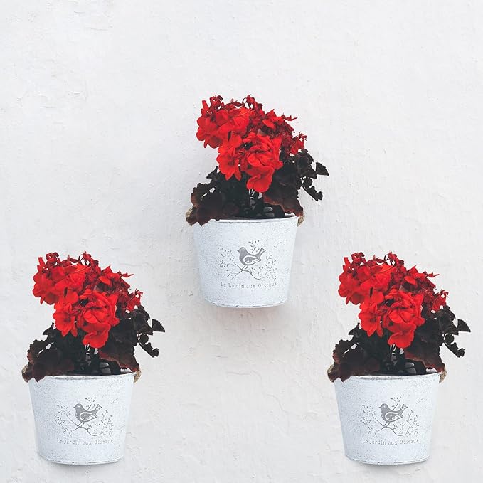 XONOR 4Pcs Galvanized Metal Wall Planter- Wall Hanging Bucket Vintage Rustic Flowers Vase Planter Holder with Rope for Home Wall Decor or Plants Flowers Growing (5.5'')