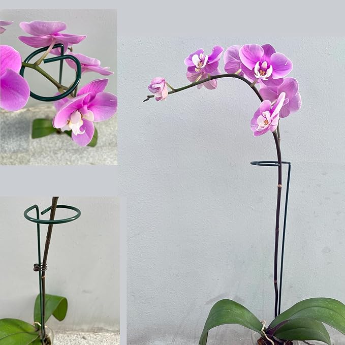 12 Pack 16 inch Plant Support Stakes, Metal Garden Support Stick Support Ring, Plant Sticks for Indoor Outdoor Single Stem Flower Peony, Orchid, Lily, Amaryllis, Rose, Tomato Pepper Plants Supports