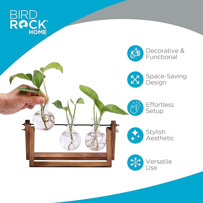 BIRDROCK HOME Plant Propagation Station | 3 Bulb Vase with Wooden Stand Terrarium | Great Gift Idea for the Home Office Garden | Hydroponics Plants