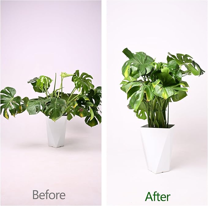 YOHSNOR 5PCS Monstera Plant Support Hook Green, 5.5IN - Durable Metal Stem Support for Indoor Plants, Adjustable & Easy to Install, Ideal for Monstera, Fishbone Cactus, and Decorative Plant Care