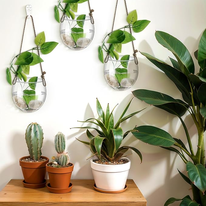 6 Pcs Wall Hanging Planter Glass Plant Pot Water Terrarium Containers Wall Vases for Flowers Air Hydroponic Propagation Glass Plant Holder Home Room Window Office(Oblate)