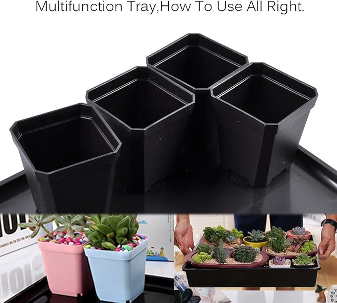 eZAKKA 37x30cm Seed Starter Tray Seed Seedling Starting Kit Plant Germination Kit Humidity Dome with 20 Pieces Square Seed Starter Pots (Black Pots)