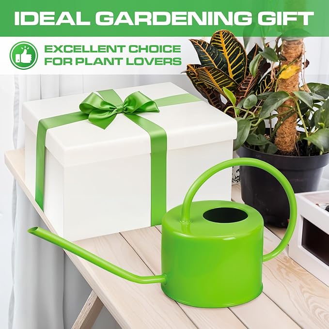 Plexon Long Spout Watering Can Indoor Plants, 40 oz Small Watering Can Pot Metal for Garden Flowers House Plants Mini, Powder Coated, for Mom Girlfriend Daughter, Green