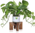 Vigordream Plant Stand, Indoor/Outdoor Wood Plant Holder, Single Flower Pot Stand, Sturdy Planter Stands (Walnut, Fit 2.5-6 inch pots)