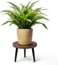 Heavy Duty Plant Stool, 10 Inch Wooden Plant Stand for Indoor Outdoor, Sturdy Metal Legs Single Plant Holder Supports 150 lbs, Fits 5-12 Inch Pots