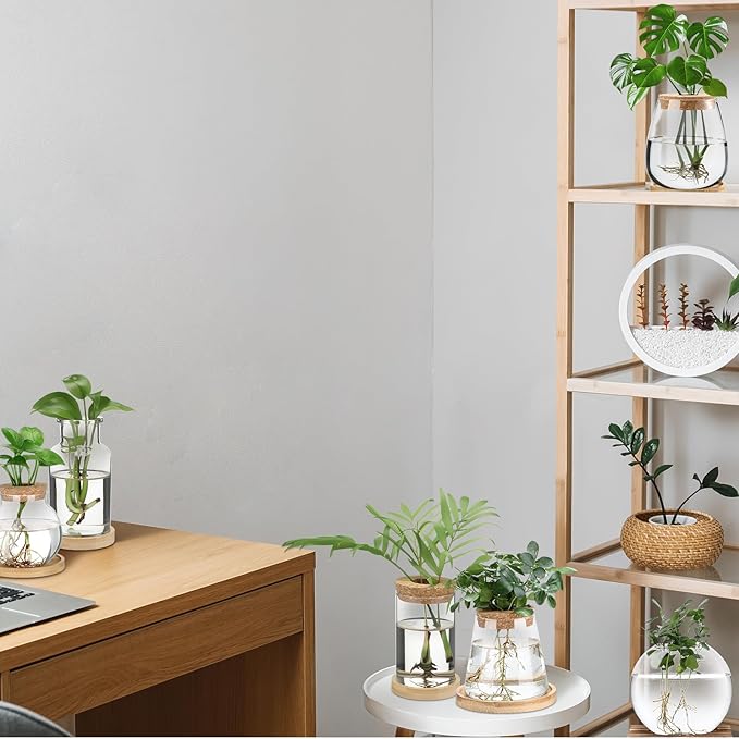 Honeydak 6 Pcs Plants Propagation Stations Planter Terrariums with Wooden Lid and Bamboo Stand Desktop Glass Propagation Vases for Plant Growing Hydroponic Home Office Tabletop Decoration