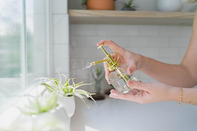 Glass Plant Watering Mister – 8 Ounces Gold Accent Plant Spray Bottle – Single Handed Watering Can for Indoor Plants