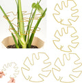 4 Pack Plant Stem Support, Adjustable Metal Monstera Plant Support Small 2PCS & Large 2PCS, Plant Supports for Indoor Plants Moss Pole Growth Plant Support Ring (Gold)