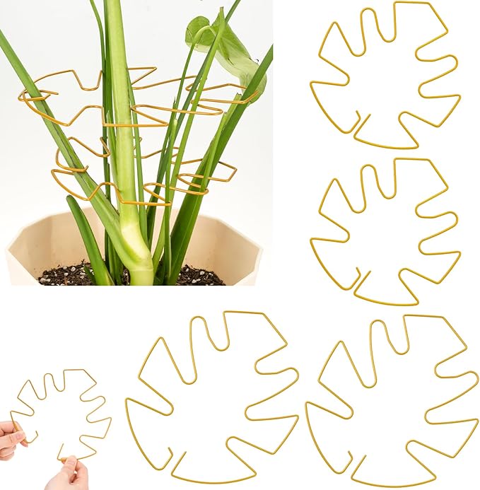 4 Pack Plant Stem Support, Adjustable Metal Monstera Plant Support Small 2PCS & Large 2PCS, Plant Supports for Indoor Plants Moss Pole Growth Plant Support Ring (Gold)