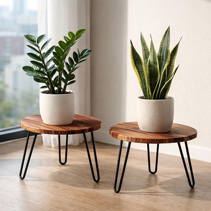 Wood Plant Stand 2 Pack Small Plant Stool Indoor 10 Inch Plant Riser Wooden Flower Stand Plant Holders Indoor Stand 6.3" Tall Planter Stands for Plants Corner Round Plant Table Outdoor Floor Plant Stand