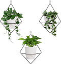 Koalaime 3 Sets Wall Planters for Indoor Plants Geometric Hanging Planters for Indoor Plants - Self-Watering Flower Pots with Black Metal Holder, Mounted Succulent Planter, 5" Black Plant Pot