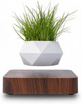 Levitating Plant Pot, Magnetic Levitating Planter 360°Auto-Rotating Floating Plant Levitating Display for Bonsai, Air Plants Cool Floating Desk Decor for Office, Living Room (Dark Brown)